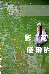影響花唄使用的微貸逾期有哪些-影響花唄使用的微貸逾期有哪些原因
