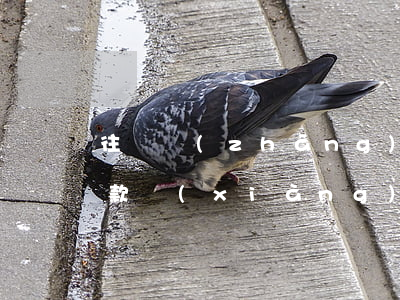 往來長(zhǎng)期掛賬整改措施(往來款項(xiàng)長(zhǎng)期掛賬整改措施)
