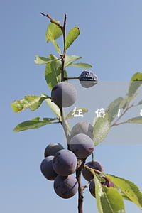 征信16個賬戶逾期