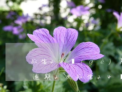 征信24個(gè)月內(nèi)信用卡逾期2次（征信24個(gè)月內(nèi)信用卡逾期2次）