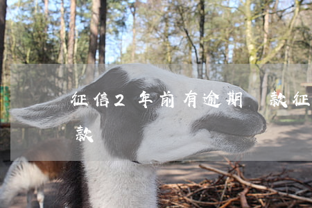 征信2年前有逾期貸款(征信2年前有逾期貸款嗎)