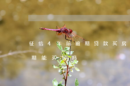 征信4年前逾期贷款买房(征信4年前7次逾期能买房吗)