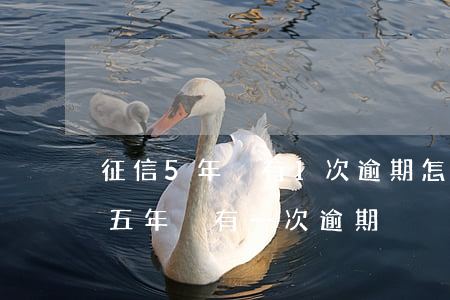 征信5年內有1次逾期怎么查詢-征信報告五年內有一次逾期