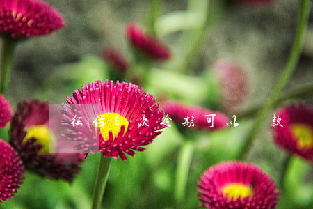 征信6次逾期可以貸款嗎(征信累計6次逾期)