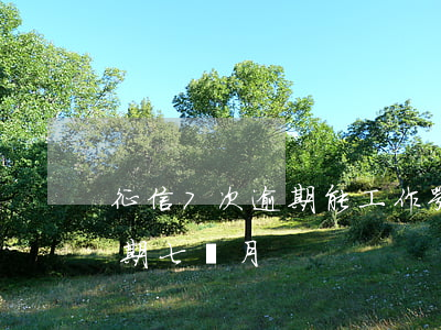 征信7次逾期能工作嘛(征信連續(xù)逾期七個月)