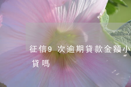 征信9次逾期貸款金額小(征信逾期9次能房貸嗎)