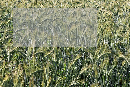 征信b級(jí)有逾期嘛