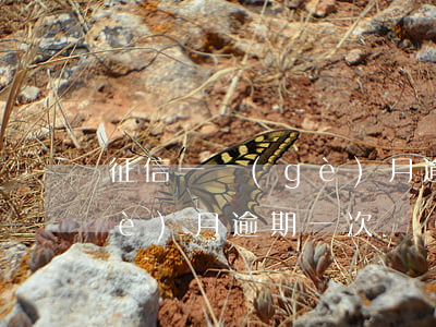 征信一個(gè)月逾期一次(征信一個(gè)月逾期一次)