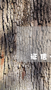 征信一次逾期影響房貸嘛