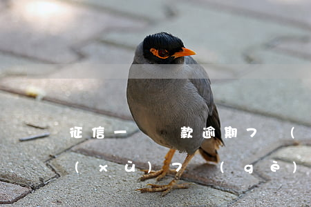 征信一筆貸款逾期7個(gè)月(征信連續(xù)7個(gè)月逾期怎么辦)