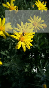 征信三次逾期還能申請(qǐng)貸款（信用卡逾期兩次可以申請(qǐng)貸款么）