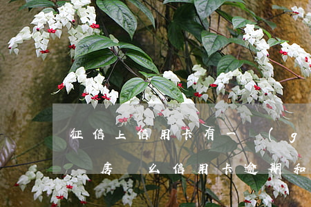 征信上信用卡有一個(gè)逾期上征信影響房貸么（信用卡逾期和上征信是一回事）