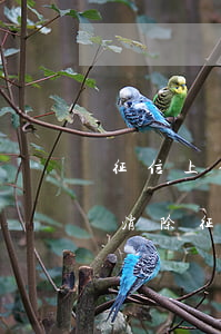 征信上信用卡逾期多久消除（信用卡逾期幾年消除征信記錄）