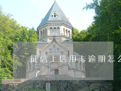 征信上信用卡逾期怎么看(怎么看信用卡逾期了)