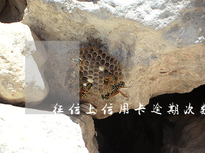 征信上信用卡逾期次数(逾期几次上征信)