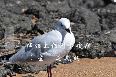 征信上信用卡逾期賬戶2(征信上有發(fā)生過逾期的賬戶)