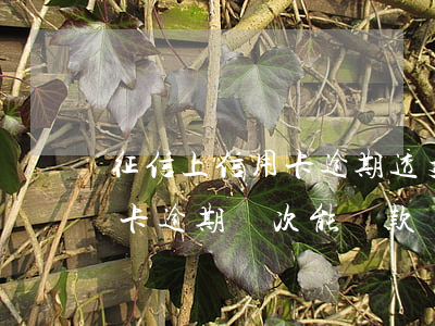征信上信用卡逾期透支5次(征信報告中信用卡逾期兩次能貸款嗎)