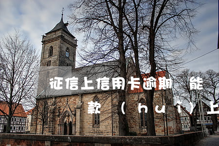 征信上信用卡逾期還能貸款嗎（信用卡逾期全額還款會(huì)上征信嗎）