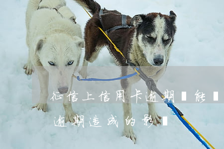 征信上信用卡逾期還能貸款嗎知乎(征信用卡逾期造成的影響)