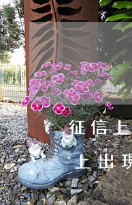 征信上出現(xiàn)信用卡逾期-征信上出現(xiàn)信用卡逾期什么意思