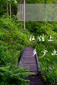 征信上多個(gè)逾期還能貸款(逾期還款多少次會(huì)影響征信)