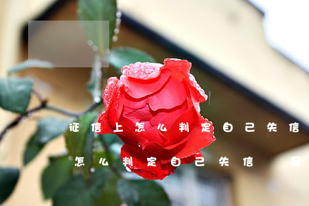 征信上怎么判定自己失信還是逾期-征信上怎么判定自己失信還是逾期了