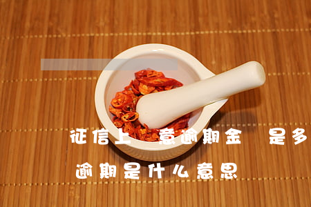 征信上惡意逾期金額是多大面額-征信惡意逾期是什么意思