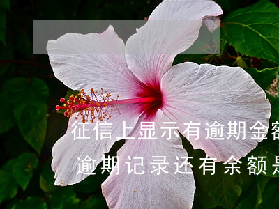 征信上显示有逾期金额去哪里还-征信上的逾期记录还有余额是啥意思