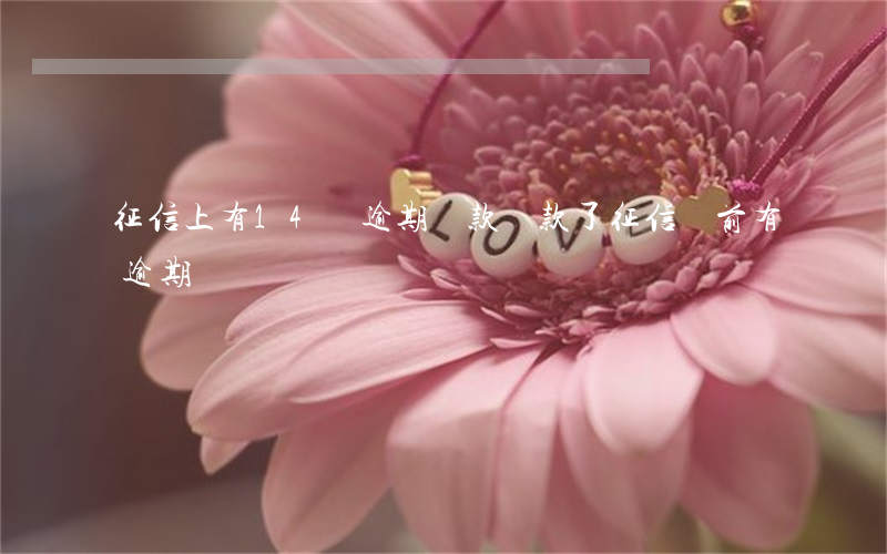 征信上有14個逾期還款(還款了征信當前有逾期)
