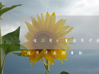 征信上有4筆信用卡逾期還款(征信上有4筆信用卡逾期還款)
