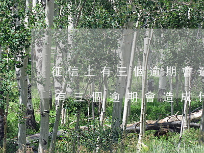 征信上有三個逾期會造成什么后果-征信上有三個逾期會造成什么后果呢