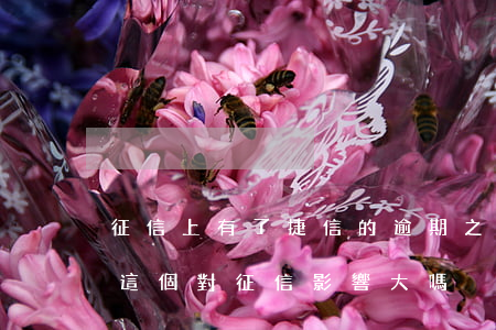 征信上有了捷信的逾期 之前在捷信有過逾期這個對征信影響大嗎