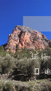 征信上有兩個信用卡短期逾期(征信報告有兩個逾期)