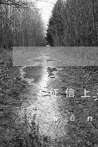 征信上有網(wǎng)貸逾期怎么辦(網(wǎng)貸 征信 逾期)