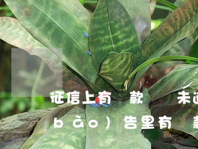 征信上有貸款記錄未逾期(沒有貸款征信報(bào)告里有貸款記錄)