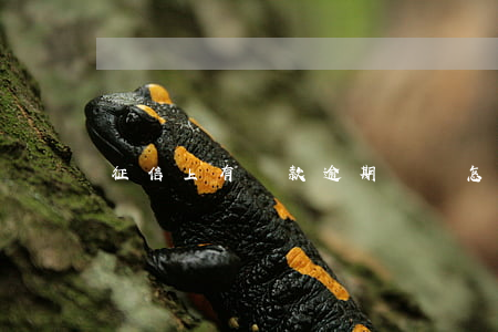 征信上有貸款逾期記錄怎么辦（貸款逾期征信記錄）