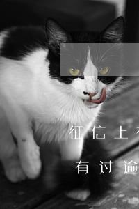 征信上有过逾期能办信用卡吗贴吧-征信上有过逾期能办信用卡吗贴吧