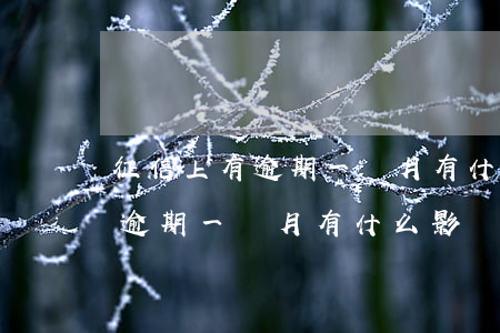 征信上有逾期一個月有什么影響-征信上有逾期一個月有什么影響嗎