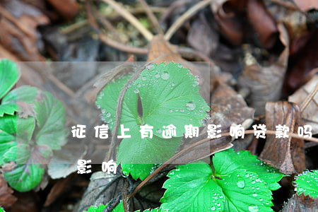 征信上有逾期影响贷款吗(征信有逾期有哪些影响)
