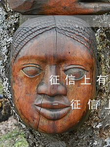 征信上有逾期數(shù)字8筆什么意思-征信上有逾期數(shù)字8筆什么意思啊