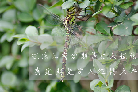 征信上有逾期是进入征信名单了吗-征信上有逾期是进入征信名单了吗怎么办