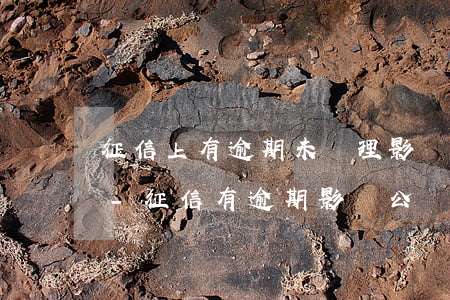 征信上有逾期未處理影響公務(wù)員嗎-征信有逾期影響公務(wù)員錄用嗎