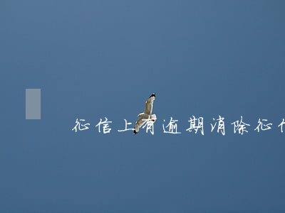 征信上有逾期消除(征信上有逾期消除記錄嗎)