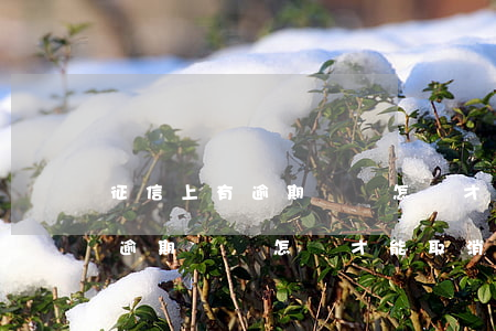 征信上有逾期記錄怎樣才能取消-征信上有逾期記錄怎樣才能取消呢