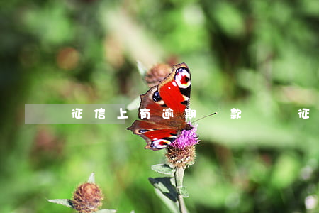 征信上有逾期還款記錄(征信有逾期怎么還款)