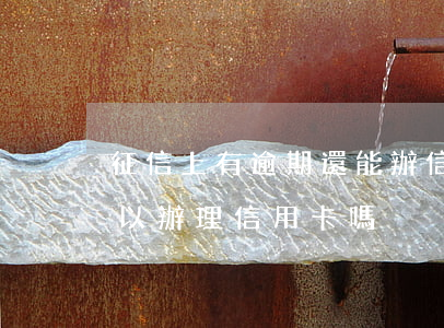 征信上有逾期還能辦信用卡嗎(征信有逾期可以辦理信用卡嗎?)