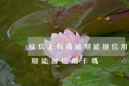 征信上有過逾期能辦信用卡嗎（征信里有大逾期能辦信用卡嗎）