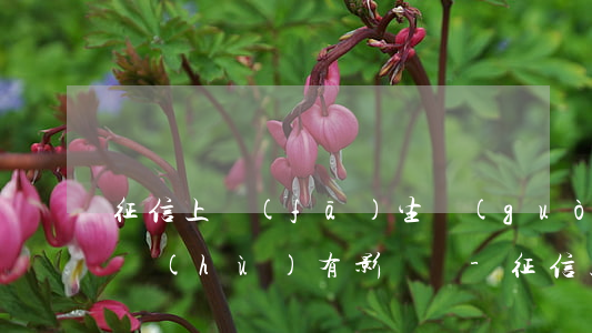 征信上發(fā)生過(guò)逾期的賬戶(hù)有影響嗎-征信上發(fā)生過(guò)逾期的賬戶(hù)有影響嗎怎么辦