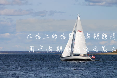 征信上的信用卡逾期能消除吗-征信上的信用卡逾期能消除吗怎么消
