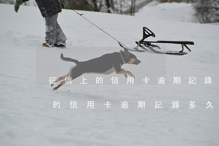 征信上的信用卡逾期記錄多久消失-征信上的信用卡逾期記錄多久消失了